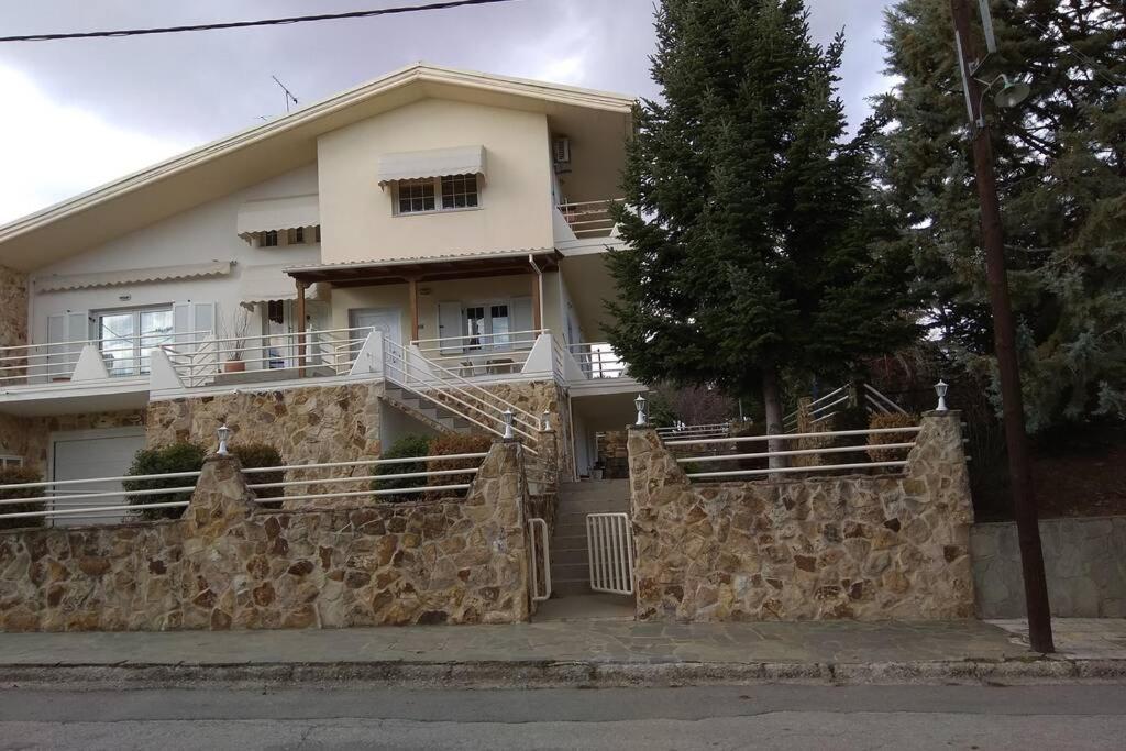 The Stone House Apartment Kozani Exterior photo